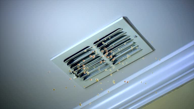 Best Air Duct Cleaning Near Me  in Reisterstown, MD
